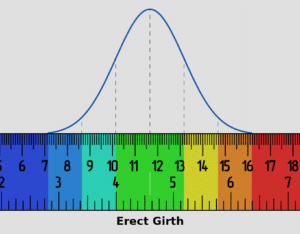 average-penis-size-length-girth-facts