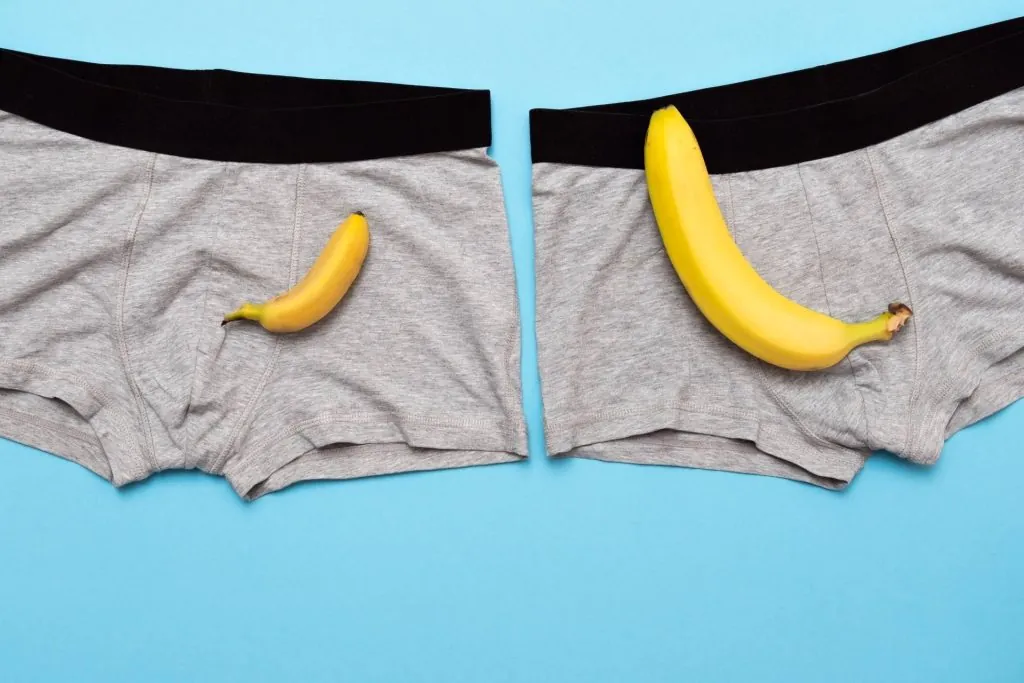 penis size facts